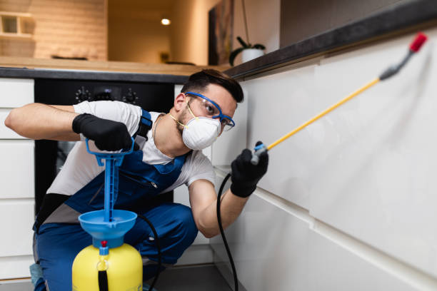 Best Rat Extermination Near Me  in Colfax, WI