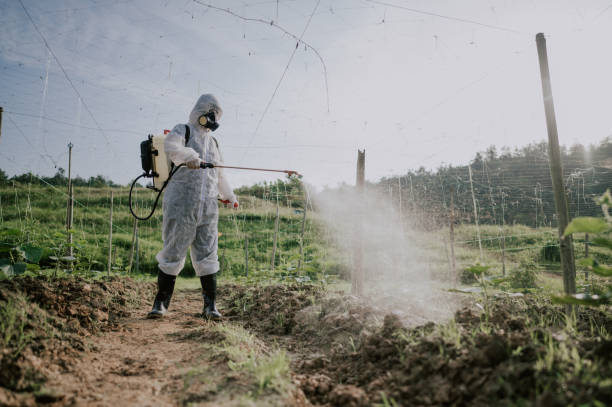 Professional Pest Control in Colfax, WI