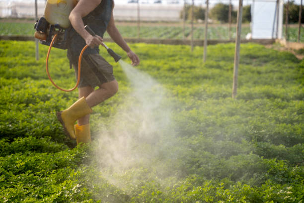 Best Commercial Pest Control Services  in Colfax, WI