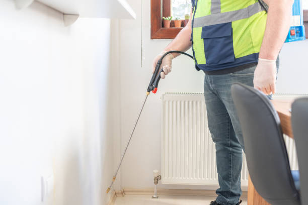 Best Termite Control Services  in Colfax, WI