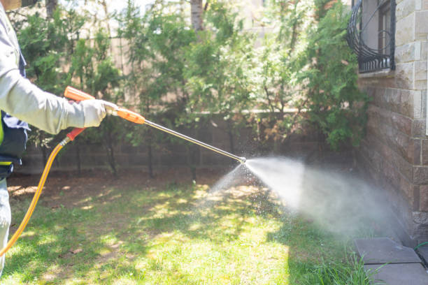 Wasp Removal Services in Colfax, WI