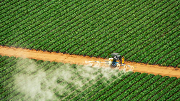 Best Mosquito Control Services  in Colfax, WI