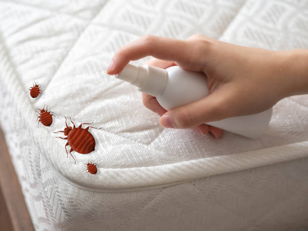 Best Residential Pest Control  in Colfax, WI