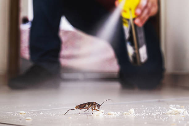 Best Emergency Pest Control  in Colfax, WI