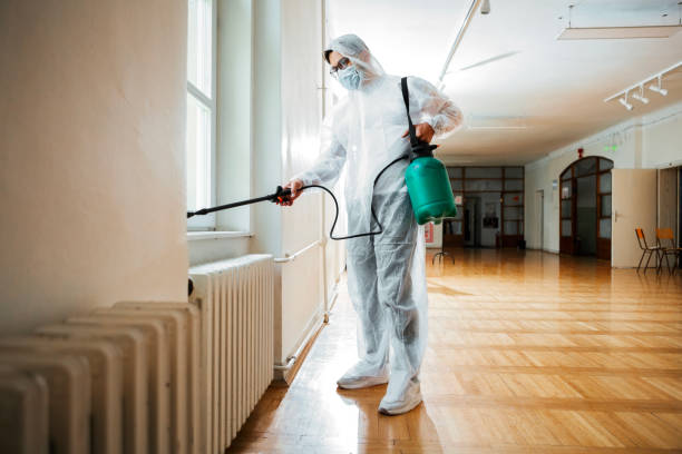 Best Flea Control Services  in Colfax, WI