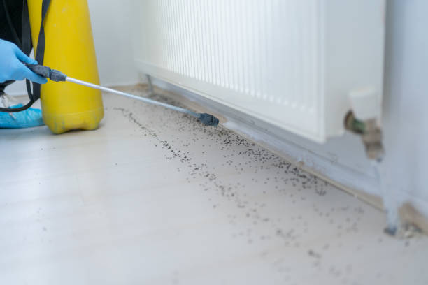 Best Pest Control Cost  in Colfax, WI