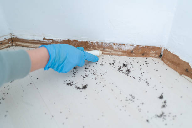 Wildlife Control Services in Colfax, WI