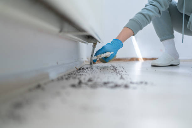 Best Wildlife Control Services  in Colfax, WI